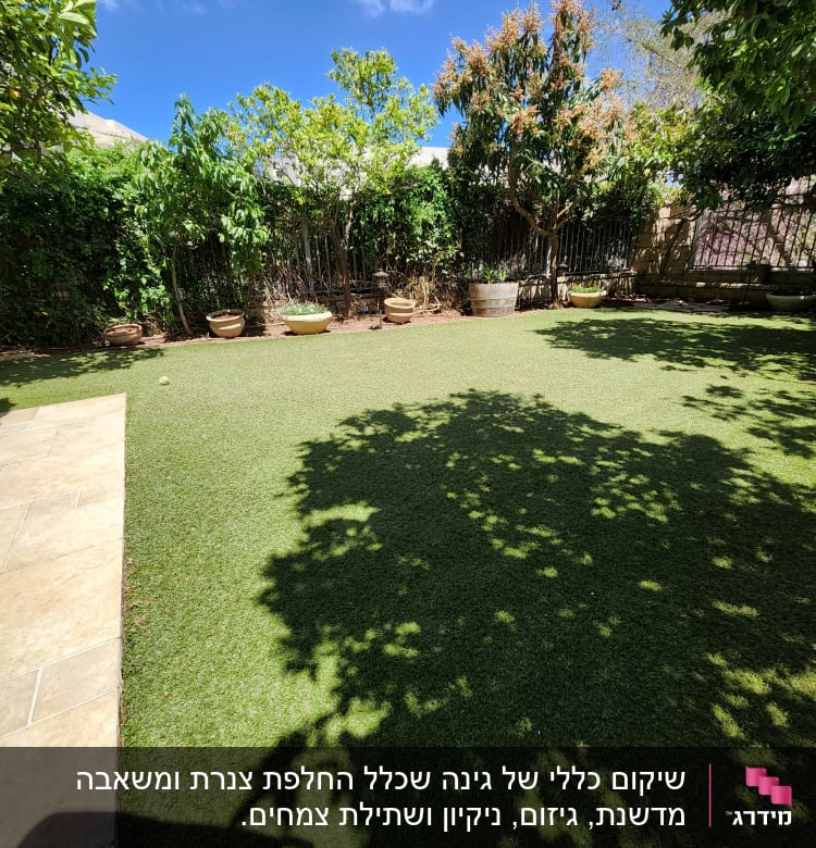 עציצים עם צמחים על דשא בגינה